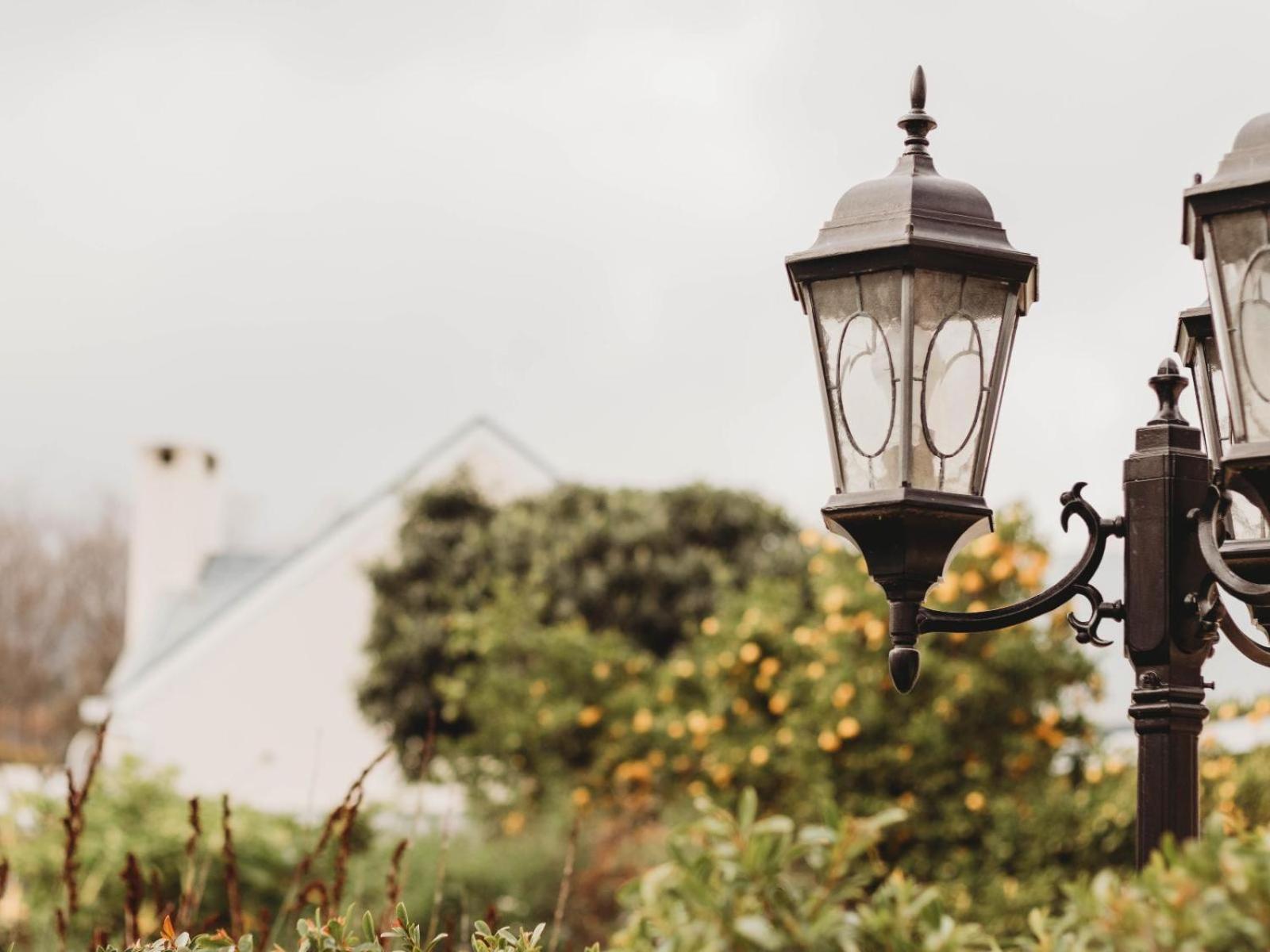 Le Petit Paris Hotel Franschhoek Exterior photo